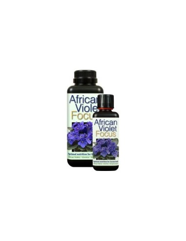 Immagine Growth Technology - African Violet Focus