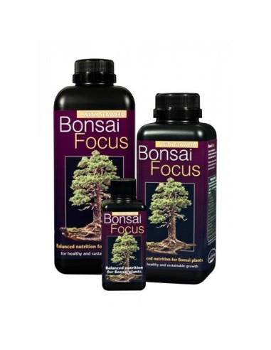 Immagine Growth Technology -  Bonsai Focus