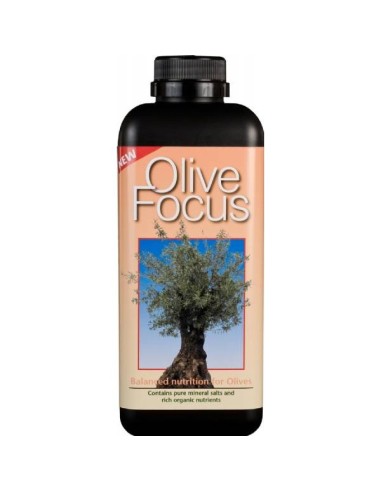 Immagine Growth Technology - Olive Focus