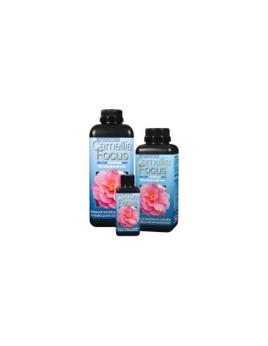 Immagine Growth Technology - Camelia Focus