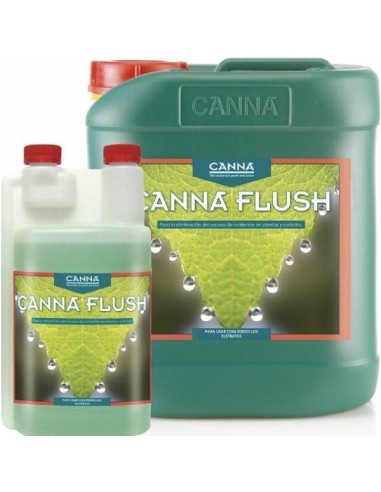 Immagine Canna - Flush