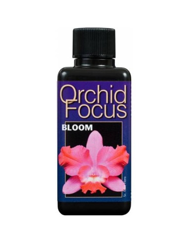 Immagine Growth Technology - Orchid Focus Bloom