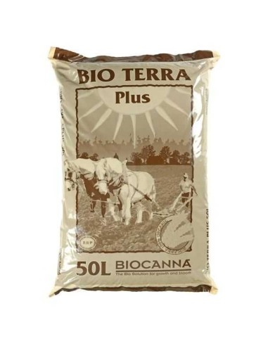 Immagine Canna - Bio Terra Plus | Fertilizzata Bio