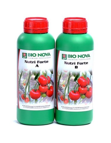 Immagine Bionova - Nutriforte A+B