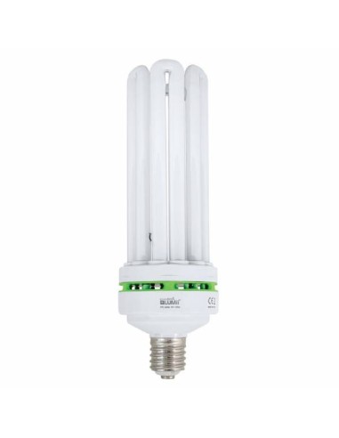 Immagine EnviroGro - Compact Fluo 6400K | CFL Vegetativa