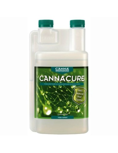 Immagine Canna - Cure | Protettivo Spray