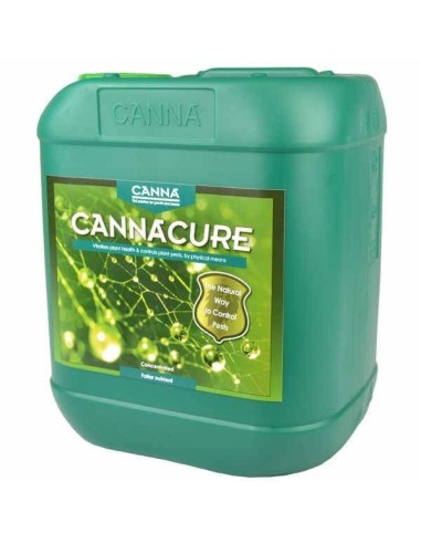 Immagine Canna - Cure | Protettivo Spray