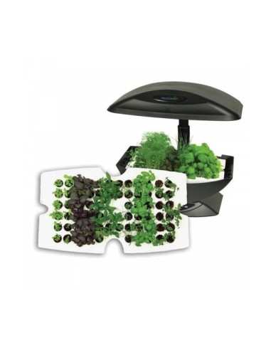 Garden Starter Kit Vassoio germinazione 66 semi per Aerogarden