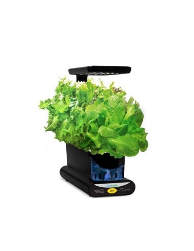 Aerogarden Miracle-Gro Led Mini Kit con semi 24x13x38