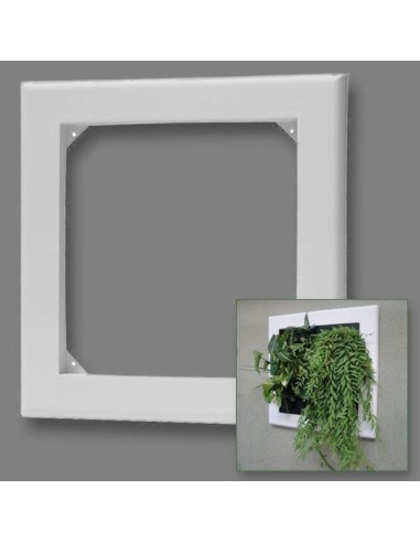 Cornice Bianca per Flowall Verde Verticale