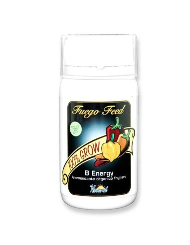 Fuego Feed B Energy 250ml | Fertilizzante | Concime organo mineral