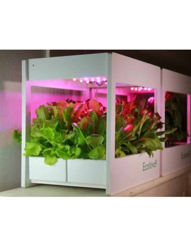 Smart Garden Ecoltivo