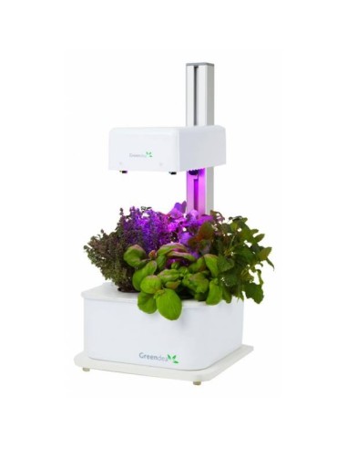 Hydroponic Smart Garden Green Dea Sistema a Led 1 Lampada 3 Piante