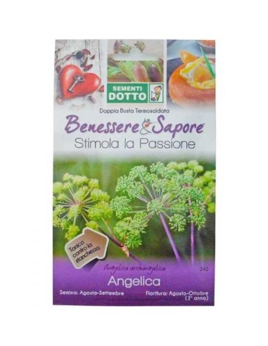 Sementi Dotto di Angelica | Benessere e Salute