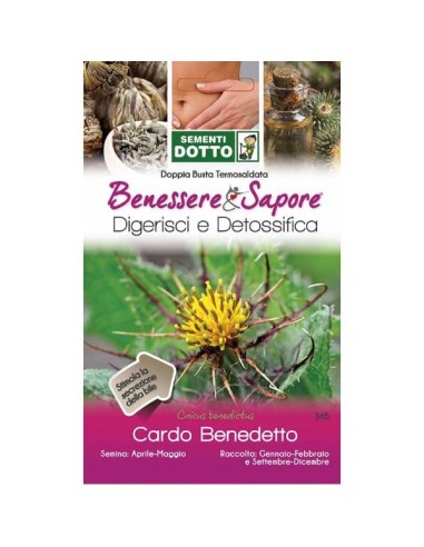 Sementi Dotto di Cardo Benedetto (Cardo Benedictus)