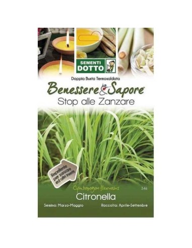 Citronella Semi: Pianta Anti-Zanzare Online | Idroponica