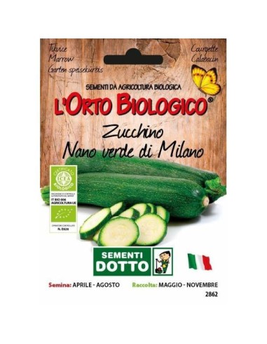 Semi biologici di Zucchino Nano Verde Milano