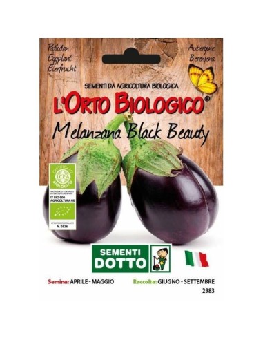 Semi biologici di Melanzana Black Beauty