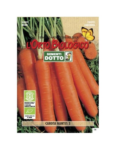 Semi biologici di Carota Nantes 3