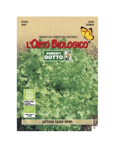 Semi biologici di Lattuga Salad Bowl