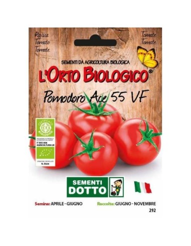 Semi biologici di Pomodoro Ace 55