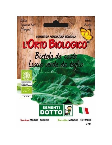 Semi Bieta Verde Liscia da Taglio | Orto Biologico | Varietà biologica