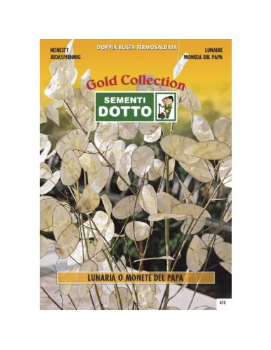 Linea Fiori Gold LUNARIA MONETA DEL PAPA h cm 75