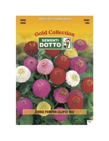 Linea Fiori Gold ZINNIA Pompon Lilliput in mix h cm 75