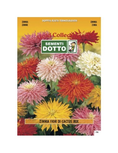 Linea Fiori Gold ZINNIA a Fior di Cactus in mix h cm 75