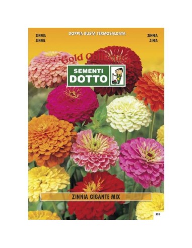 Linea Fiori Gold ZINNIA Gigante in mix h cm 75