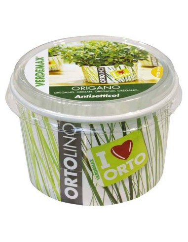 Ortolino Origano: l'orto in cucina