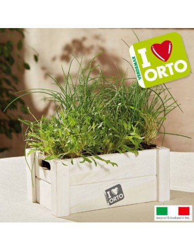 Kit Coltivazione Easyorto di Verdemax Rucola ed Erba Cipollina