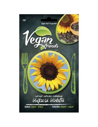 Semi di girasole per cucina vegana