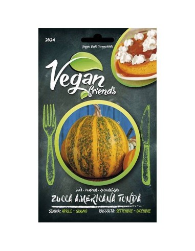 Semi di Zucca Americana Tonda per cucina vegana