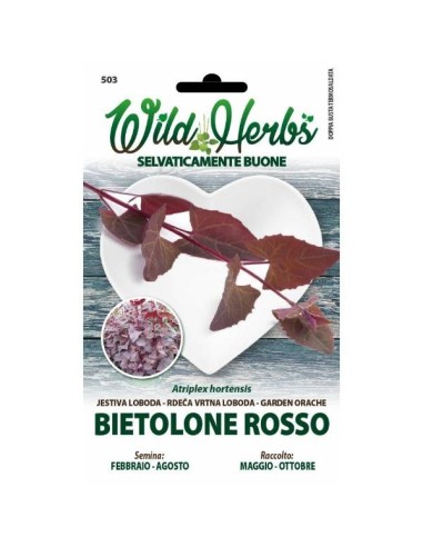 Semi Dotto Bietolone Rosso