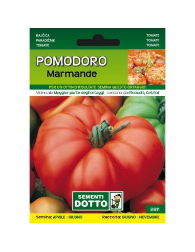 Sementi da Orto Pomodoro Marmande Sem. Dotto