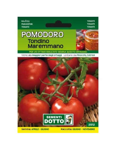 Sementi da Orto Pomodoro Tondino Maremmano Sem. Dotto