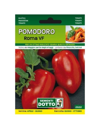 Sementi da Orto Pomodoro Roma VF Sem. Dotto