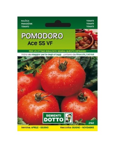 Sementi da Orto Pomodoro Ace 55 VF Sem. Dotto