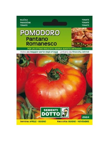 Sementi da Orto Pomodoro Pantano Romanesco Sem. Dotto