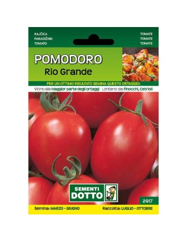 Sementi da Orto Pomodoro Rio Grande Sem. Dotto