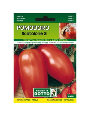 Sementi da Orto Pomodoro Scatolone 2 Sem. Dotto