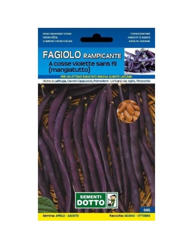 Sementi da Orto Fagiolino Trionfo violetto rampicante