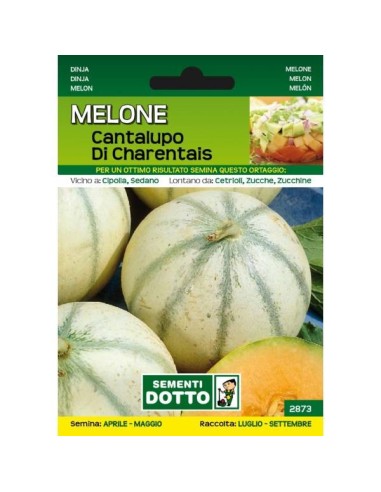 Sementi da Orto Melone Cantalupo di Charentais Sem. Dotto