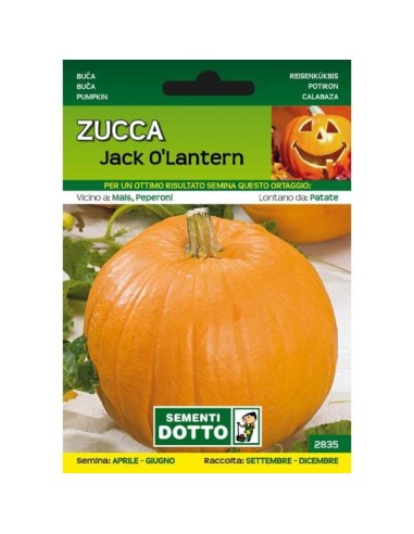 Sementi da Orto Zucca Jack O'Lantern Sem. Dotto