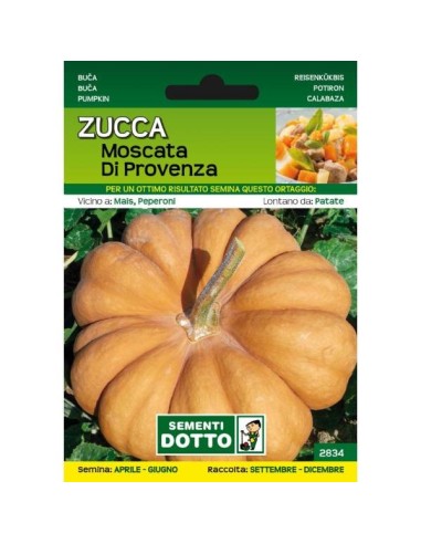 Sementi da Orto Zucca Moscata di Provenza Sem. Dotto