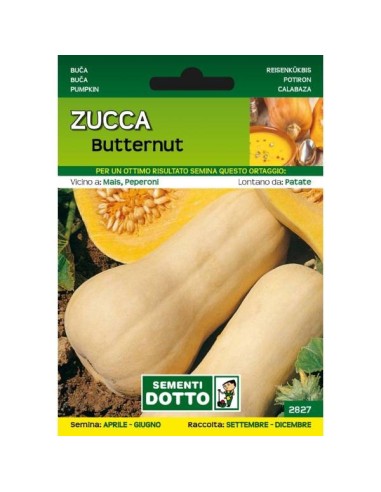 Sementi da Orto Zucca Butternut Sem. Dotto