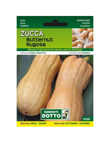 Sementi da Orto Zucca Butternut Rugosa Sem. Dotto