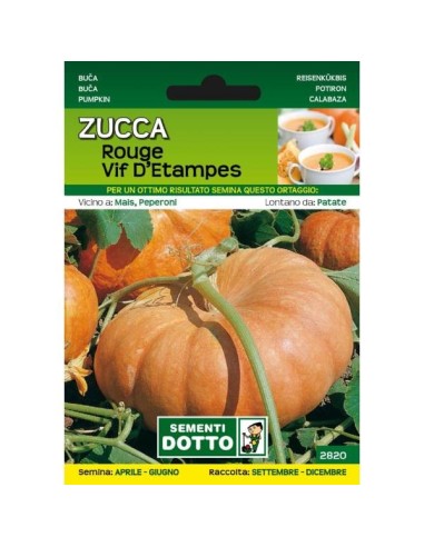 Sementi da Orto Zucca Rouge Vif d'Etampes Sem. Dotto