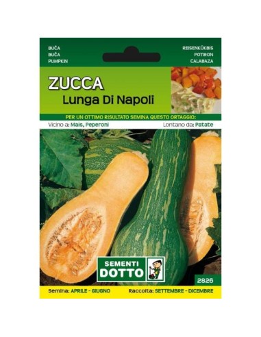 Sementi da Orto Zucca Lunga di Napoli Sem. Dotto